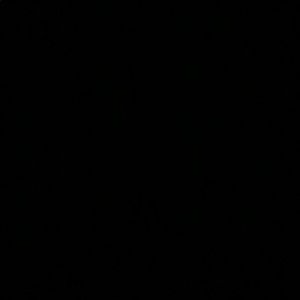 Meet your Posher, Todd